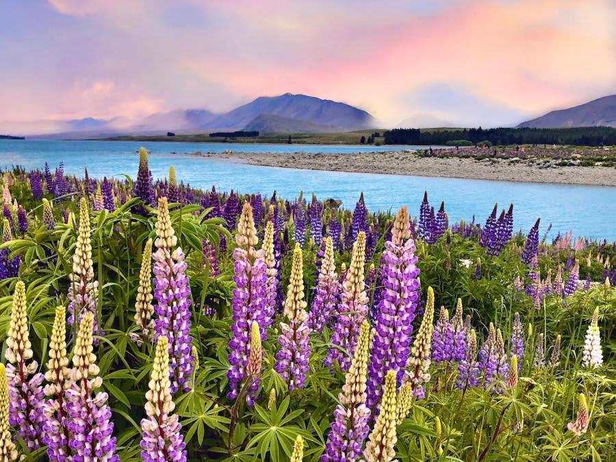 Galaxy 3br Modern With Fireplace Outdoor Lake Tekapo